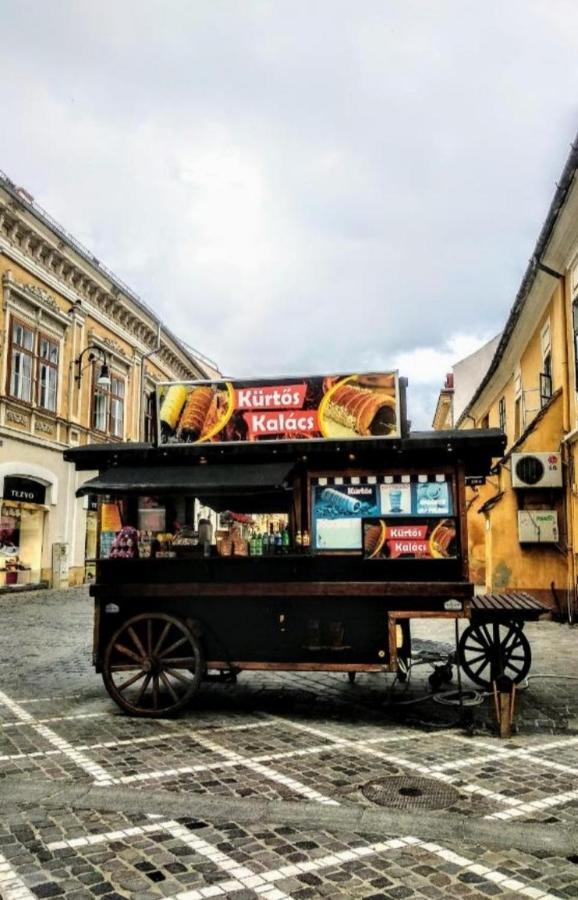 Ferienwohnung Studio Republicii Brașov Exterior foto