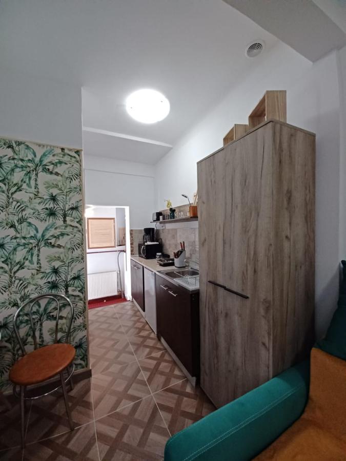 Ferienwohnung Studio Republicii Brașov Exterior foto