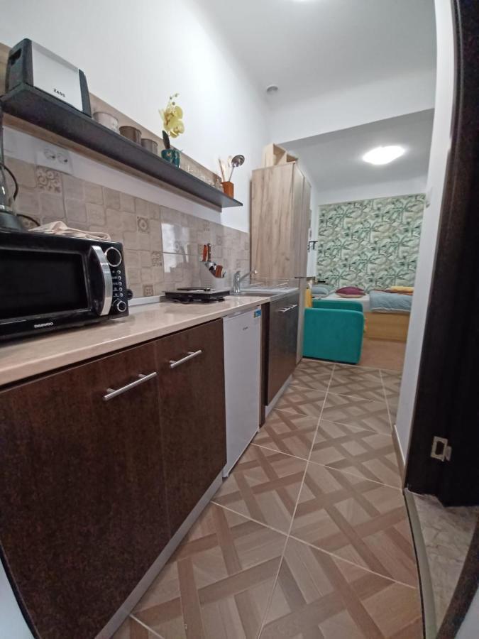Ferienwohnung Studio Republicii Brașov Exterior foto