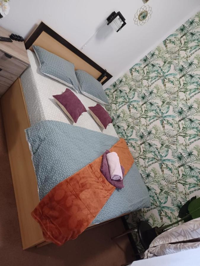 Ferienwohnung Studio Republicii Brașov Exterior foto
